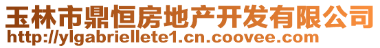 玉林市鼎恒房地產(chǎn)開發(fā)有限公司