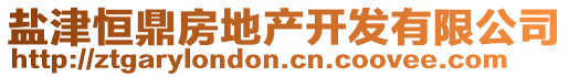 鹽津恒鼎房地產(chǎn)開發(fā)有限公司