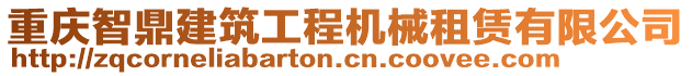 重慶智鼎建筑工程機械租賃有限公司