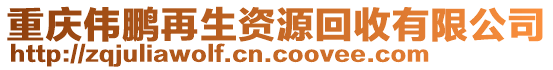 重庆伟鹏再生资源回收有限公司