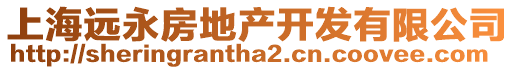 上海遠(yuǎn)永房地產(chǎn)開發(fā)有限公司