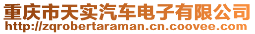 重慶市天實汽車電子有限公司