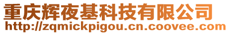 重慶輝夜基科技有限公司