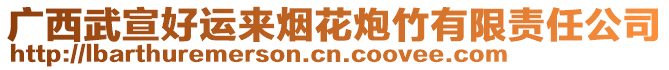 廣西武宣好運(yùn)來煙花炮竹有限責(zé)任公司