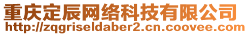 重慶定辰網(wǎng)絡(luò)科技有限公司