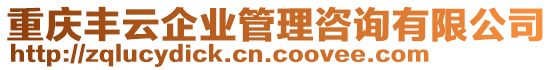 重慶豐云企業(yè)管理咨詢有限公司