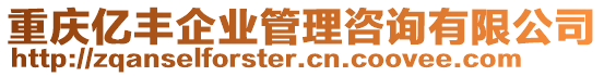 重慶億豐企業(yè)管理咨詢有限公司