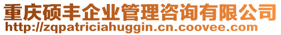 重慶碩豐企業(yè)管理咨詢有限公司