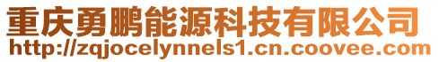 重慶勇鵬能源科技有限公司