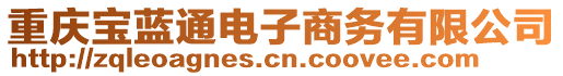 重慶寶藍通電子商務有限公司