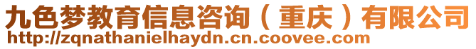 九色夢(mèng)教育信息咨詢（重慶）有限公司