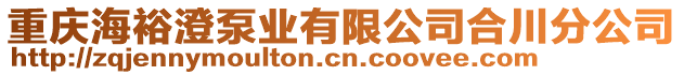 重慶海裕澄泵業(yè)有限公司合川分公司