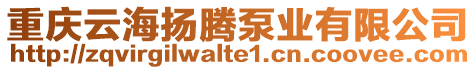 重慶云海揚騰泵業(yè)有限公司