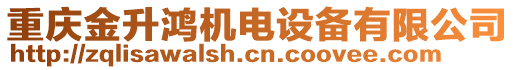 重慶金升鴻機(jī)電設(shè)備有限公司