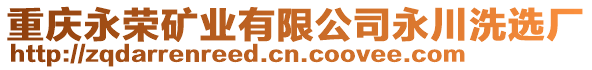 重慶永榮礦業(yè)有限公司永川洗選廠