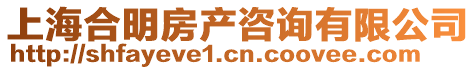 上海合明房產(chǎn)咨詢有限公司