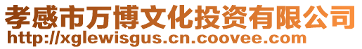 孝感市萬博文化投資有限公司