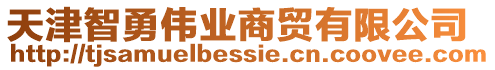 天津智勇偉業(yè)商貿(mào)有限公司