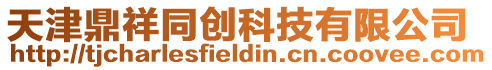 天津鼎祥同創科技有限公司