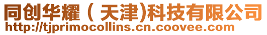 同創(chuàng)華耀(天津)科技有限公司