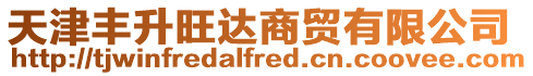 天津豐升旺達(dá)商貿(mào)有限公司