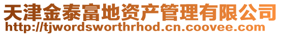 天津金泰富地資產管理有限公司