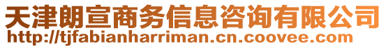 天津朗宣商務(wù)信息咨詢(xún)有限公司