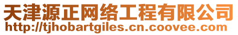 天津源正網絡工程有限公司