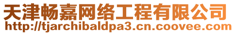 天津暢嘉網絡工程有限公司