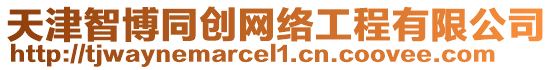 天津智博同創(chuàng)網(wǎng)絡(luò)工程有限公司