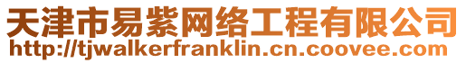 天津市易紫網絡工程有限公司