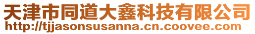 天津市同道大鑫科技有限公司