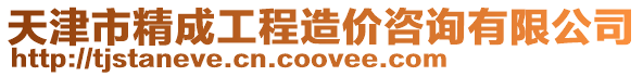 天津市精成工程造價咨詢有限公司