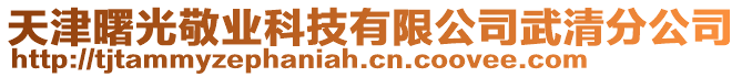 天津曙光敬業科技有限公司武清分公司