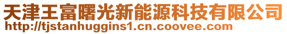 天津王富曙光新能源科技有限公司