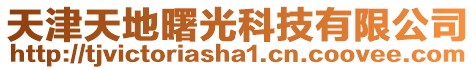 天津天地曙光科技有限公司