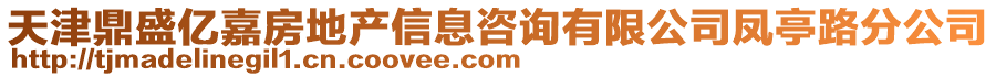 天津鼎盛亿嘉房地产信息咨询有限公司凤亭路分公司