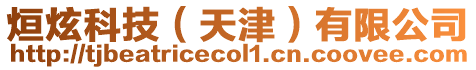 烜炫科技(天津)有限公司