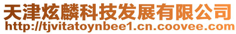 天津炫麟科技發展有限公司