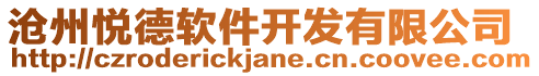 滄州悅德軟件開發有限公司