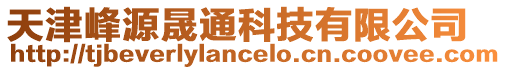 天津峰源晟通科技有限公司