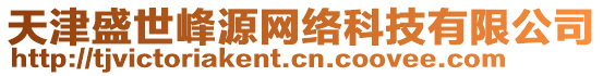 天津盛世峰源網絡科技有限公司