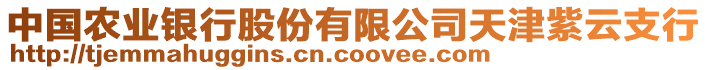 中國農(nóng)業(yè)銀行股份有限公司天津紫云支行