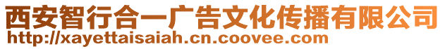 西安智行合一廣告文化傳播有限公司