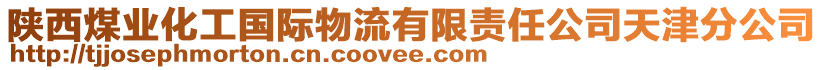 陜西煤業(yè)化工國際物流有限責任公司天津分公司