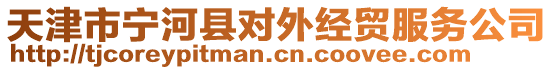 天津市寧河縣對(duì)外經(jīng)貿(mào)服務(wù)公司