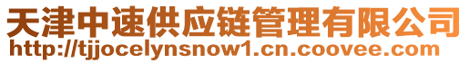 天津中速供應鏈管理有限公司
