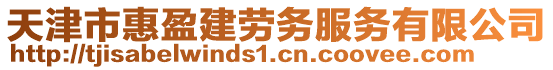 天津市惠盈建勞務(wù)服務(wù)有限公司