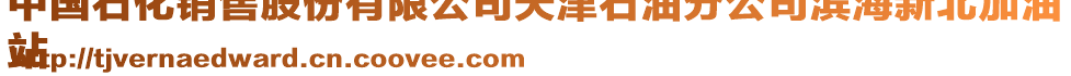 中國石化銷售股份有限公司天津石油分公司濱海新北加油
站