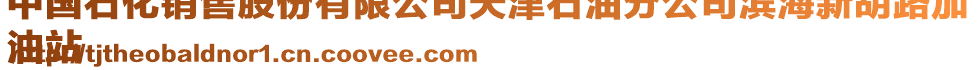 中國石化銷售股份有限公司天津石油分公司濱海新胡路加
油站